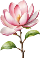 AI generated Watercolor Magnolia flower. AI-Generated. png