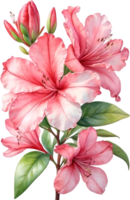 ai generado acuarela hibisco flor. ai-generado. png