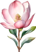 AI generated Watercolor Magnolia flower. AI-Generated. png