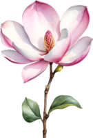ai generato acquerello magnolia fiore. ai-generato. png