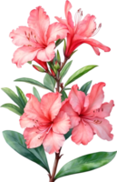 ai généré aquarelle hibiscus fleur. ai-généré. png