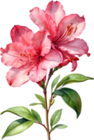 ai généré aquarelle hibiscus fleur. ai-généré. png