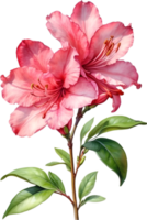 ai generiert Aquarell Hibiskus Blume. KI-generiert. png