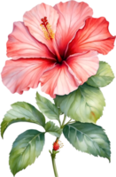 ai generiert Aquarell Hibiskus Blume. KI-generiert. png