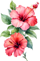 AI generated Watercolor Hibiscus flower. AI-Generated. png