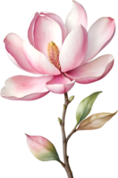 ai generado acuarela magnolia flor. ai-generado. png