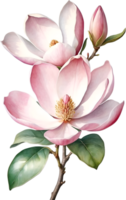 ai generiert Aquarell Magnolie Blume. KI-generiert. png