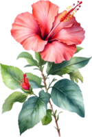 ai generiert Aquarell Hibiskus Blume. KI-generiert. png