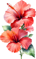 ai gegenereerd waterverf hibiscus bloem. ai-gegenereerd. png