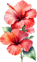 ai généré aquarelle hibiscus fleur. ai-généré. png