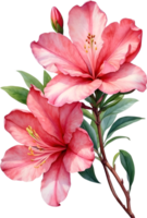 ai généré aquarelle hibiscus fleur. ai-généré. png