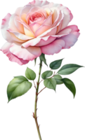 AI generated Watercolor Chinese Rose flower. AI-Generated. png