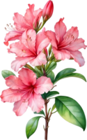 ai generiert Aquarell Hibiskus Blume. KI-generiert. png