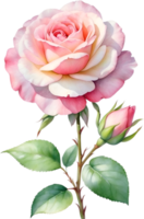 AI generated Watercolor Chinese Rose flower. AI-Generated. png