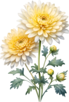 AI generated Watercolor Chrysanthemum flower. AI-Generated. png