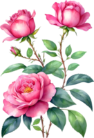 AI generated Watercolor Chinese Rose flower. AI-Generated. png