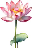 ai gegenereerd waterverf lotus bloem. ai-gegenereerd. png