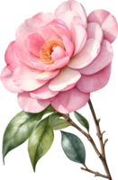 AI generated Watercolor Camellia flower. AI-Generated. png