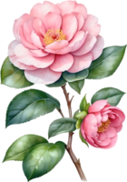 AI generated Watercolor Camellia flower. AI-Generated. png