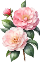 AI generated Watercolor Camellia flower. AI-Generated. png