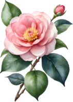 AI generated Watercolor Camellia flower. AI-Generated. png