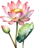 AI generated Watercolor Lotus flower. AI-Generated. png