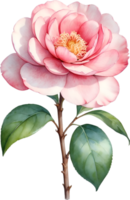 AI generated Watercolor Camellia flower. AI-Generated. png