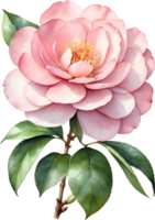 AI generated Watercolor Camellia flower. AI-Generated. png