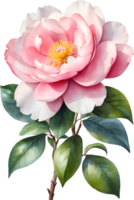 AI generated Watercolor Camellia flower. AI-Generated. png