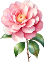 AI generated Watercolor Camellia flower. AI-Generated. png