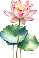 AI generated Watercolor Lotus flower. AI-Generated. png