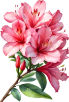AI generated Watercolor Azalea flower. AI-Generated. png