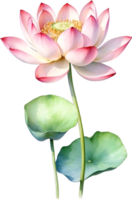 AI generated Watercolor Lotus flower. AI-Generated. png