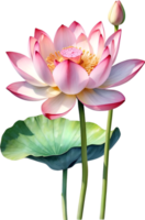 AI generated Watercolor Lotus flower. AI-Generated. png