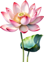 AI generated Watercolor Lotus flower. AI-Generated. png