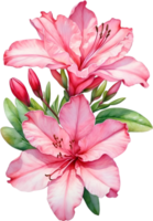 AI generated Watercolor Azalea flower. AI-Generated. png