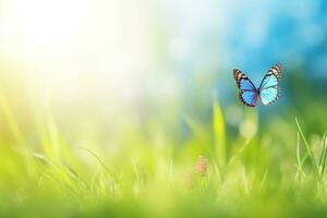 AI generated butterfly on wild white flowers in grass in rays of sunlight, macro. Spring summer fresh artistic image of beauty morning nature photo