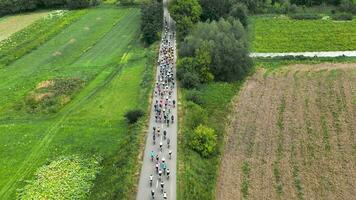 Aerial view A peloton of cyclists enters a sharp turn in the countryside. Overcoming the marathon distance on a bicycle by a group of cyclists. video