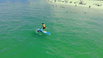 Aerial view A man learns to swim on a Sap board near a sandy shore. The man stands unsteadily on the sap board. video