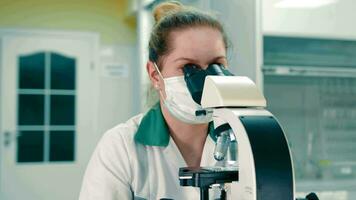 fêmea cientista usando microscópio dentro laboratório, focado fêmea investigador dentro uma laboratório casaco e mascarar examinando amostras usando uma microscópio dentro uma clínico laboratório contexto. video