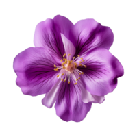 ai generado púrpura flor aislado en un transparente antecedentes png