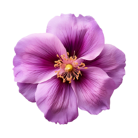 AI generated purple flower isolated on a transparent background png