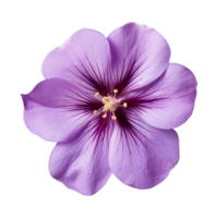 ai generiert lila Blume isoliert auf ein transparent Hintergrund png