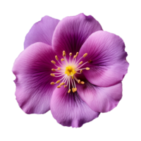 ai generiert lila Blume isoliert auf ein transparent Hintergrund png