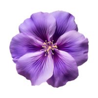 ai generiert lila Blume isoliert auf ein transparent Hintergrund png