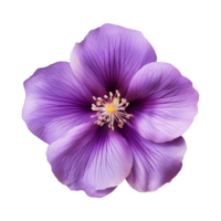 ai généré violet fleur isolé sur une transparent Contexte png