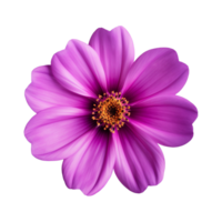 AI generated purple flower isolated on a transparent background png