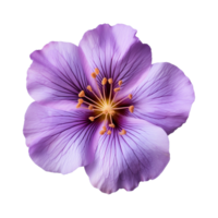 AI generated purple flower isolated on a transparent background png