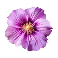 AI generated purple flower isolated on a transparent background png