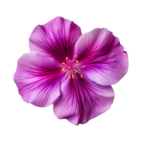 ai gerado roxa flor isolado em uma transparente fundo png